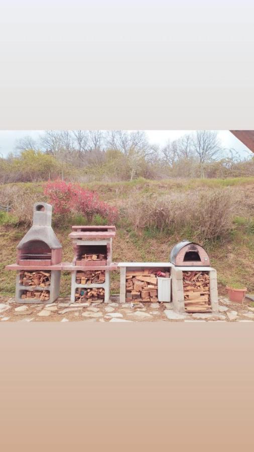 Il Podere Di Massi 巴贝里诺·迪·穆杰罗 外观 照片