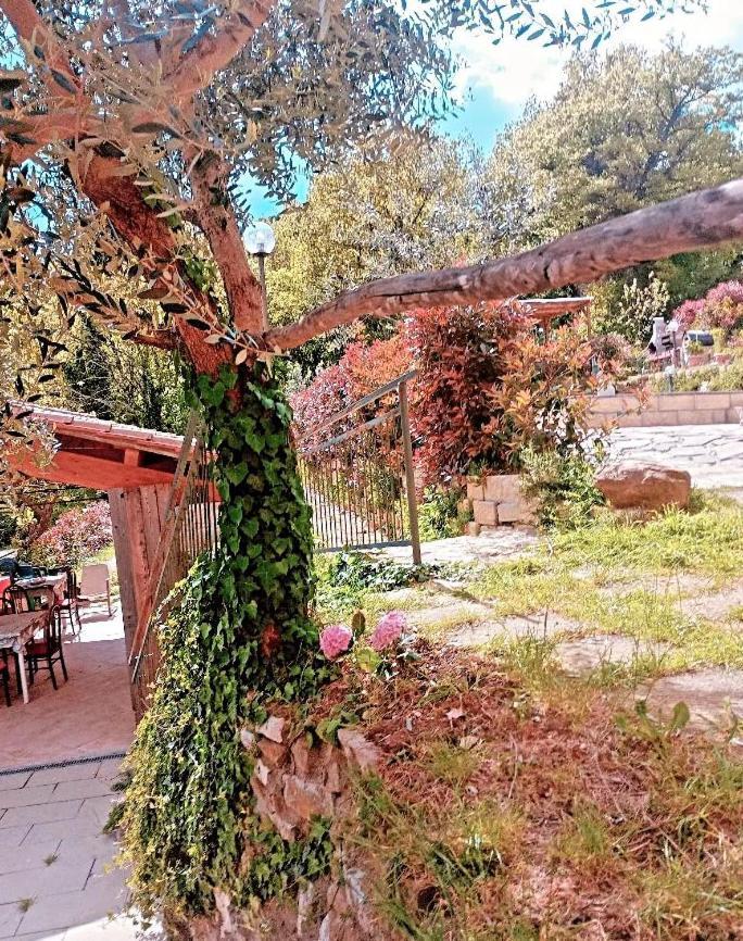 Il Podere Di Massi 巴贝里诺·迪·穆杰罗 外观 照片